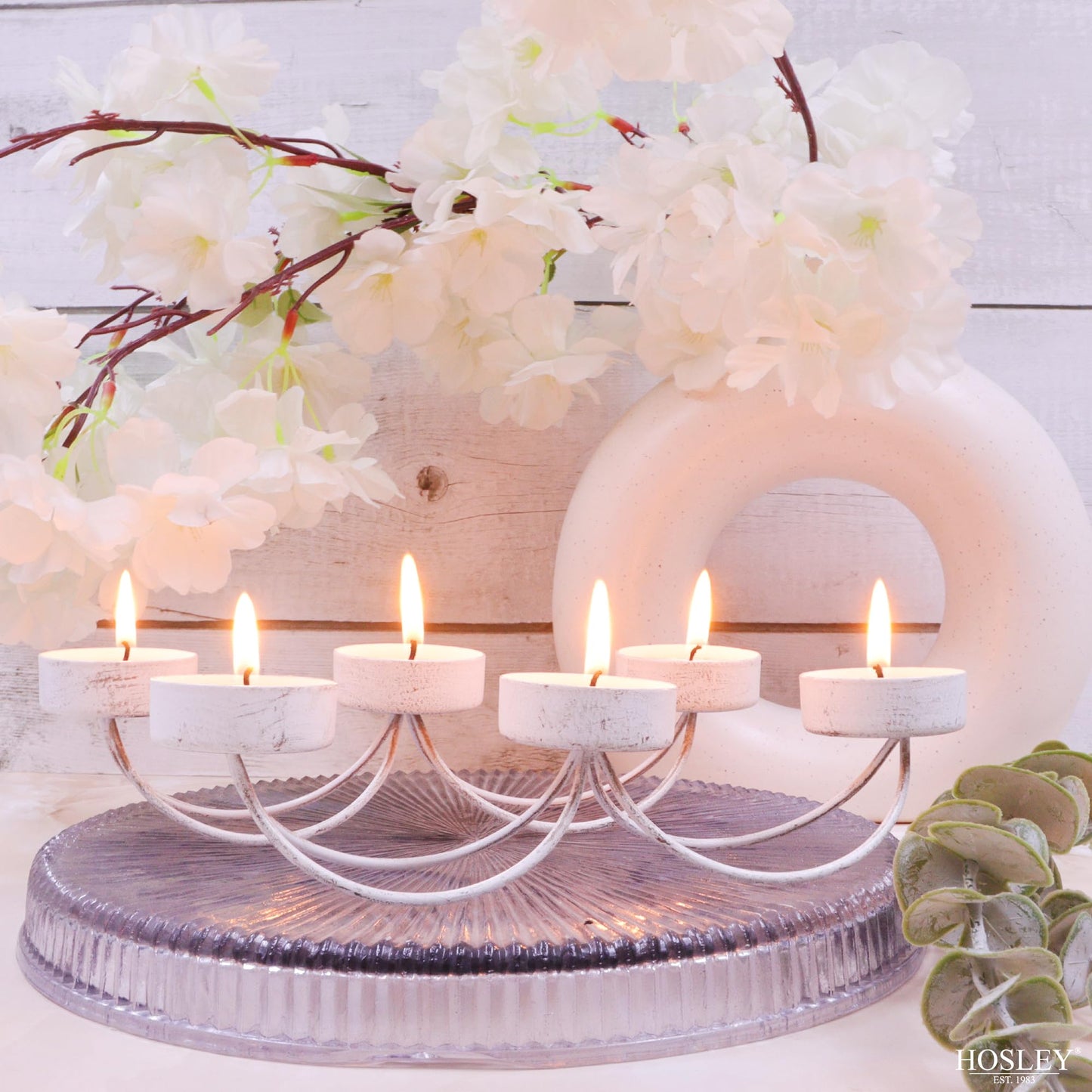 Hosley Bulk Buy Set of 6 Metal Tea Light Candle Holders for Home Decor, Lighting, Wedding, Parties, Gifting, LED Tea Light Gardens