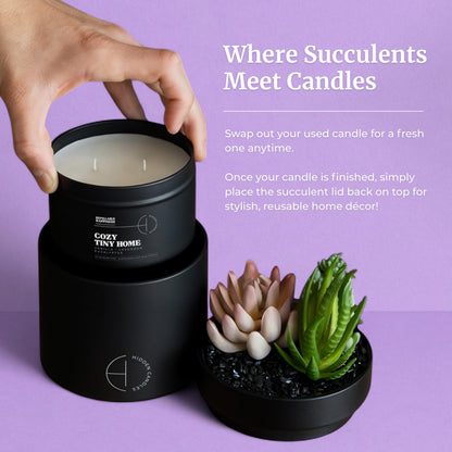 Hidden Candle – Cozy Tiny Home | Vanilla, Lavender & Eucalyptus Scented Candle with Faux Succulent | 10.6oz Soy Wax Refill, Ceramic Vessel | Long-Lasting, Decorative, Gift for Women & Men, Home Décor