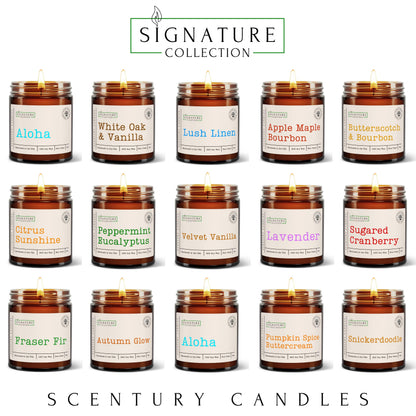 Lavender Scented Candle, Many Scents to Choose from, All Natural Non-Toxic Soy Wax, Handmade in the USA (Lavender)