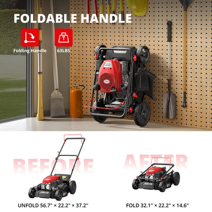 AMERISUN 21 Inch Gas Push Lawn Mower, 2-in-1 Mulching & Side Discharge, 144cc 4-Stroke OHV Engine, 6-Position Height Adjustment, Lightweight Push Mower for Small to Medium Yards