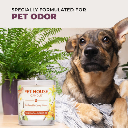One Fur All Pet Candle 9 OZ Plant-Based Spring Candle with a 60 Hour Burn Time - BlackBerry Tea