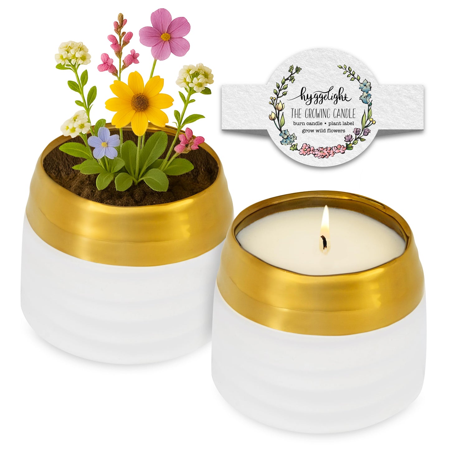 Hyggelight - The Growing Candle, Sandalwood & Vanilla Scented, 10oz Ceramic Pot, Aromatherapy Candles for Home, 100% Soy, Clara