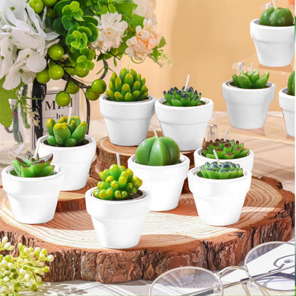 Shihanee 48 Pcs Bulk Succulent Candles Decorative Cactus Tealight Candles Handmade Mini Terracotta Clay Holders House Warming Wedding Baby Shower Spa Mexican Coworkers Teacher Birthday Gifts(White)