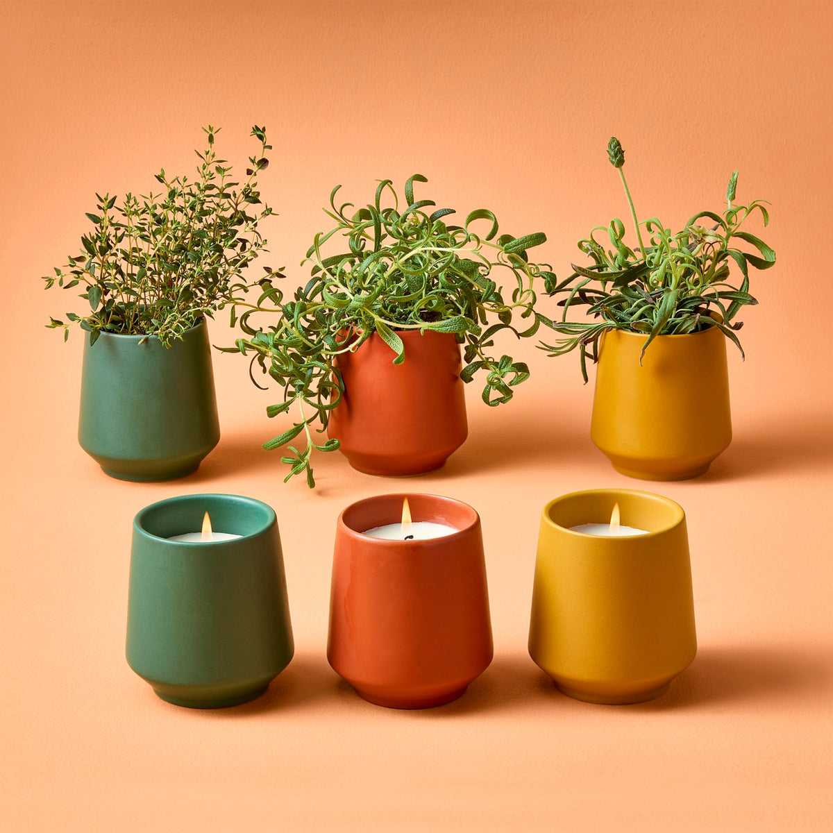 Modern Sprout - 2 in 1 Scented Candles with Seeds that Grows into Plants - 6 oz Soy Candle with 42 hr Burn time in Matte Glaze Ceramic Vessel - Rosemary, Thyme, & Lavender - Pack of 3