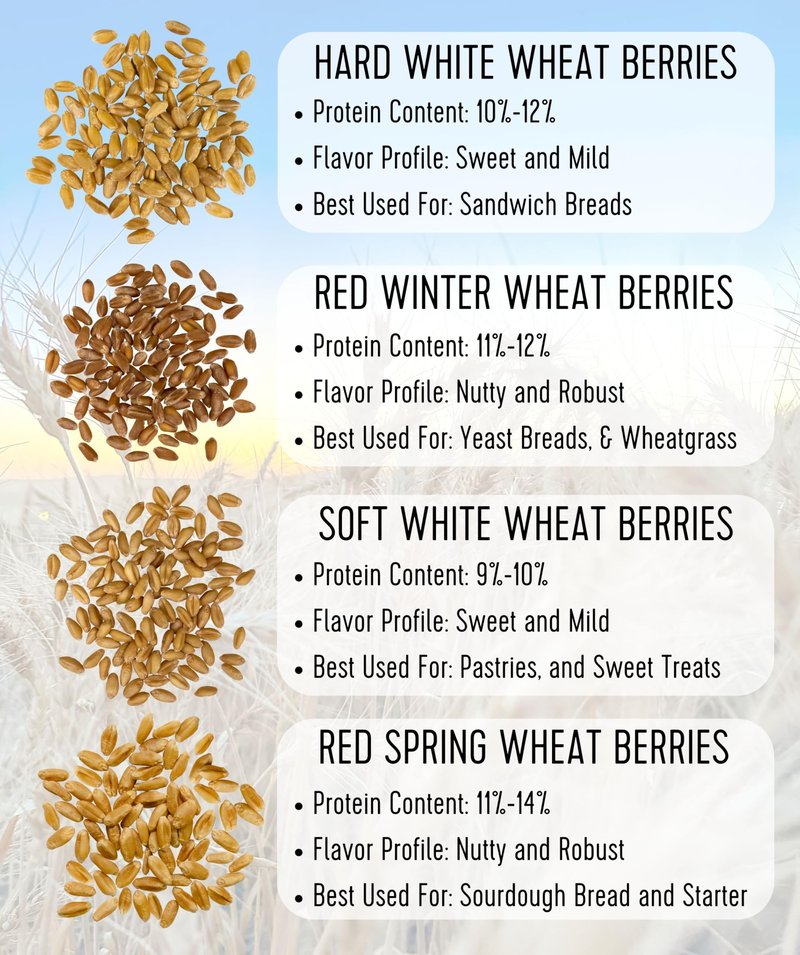 Palouse Brand Certified Glyphosate Residue Free Hard Red Spring Wheat Berries | 5 LBS | 100% Non-Irradiated | Certified Kosher Parve | USA Grown | Non-GMO Project Verified