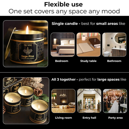 Sage & Pine Candle Strong Scented Soy Candel Natural Non Toxic Velas Aromáticas for Home Gift for Fall Christmas Holidays Pack of 3 5Oz Decorative Tin Jars with Lids
