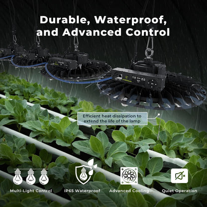 AJABotanics Hanging Grow Light for Indoor Plants, Full Spectrum LED, 200W High PPFD, Dimmable with Timer & Daisy Chain, IP65 Waterproof Grow Light, for Seed Starting, Vegetative, Bloom & Fruiting