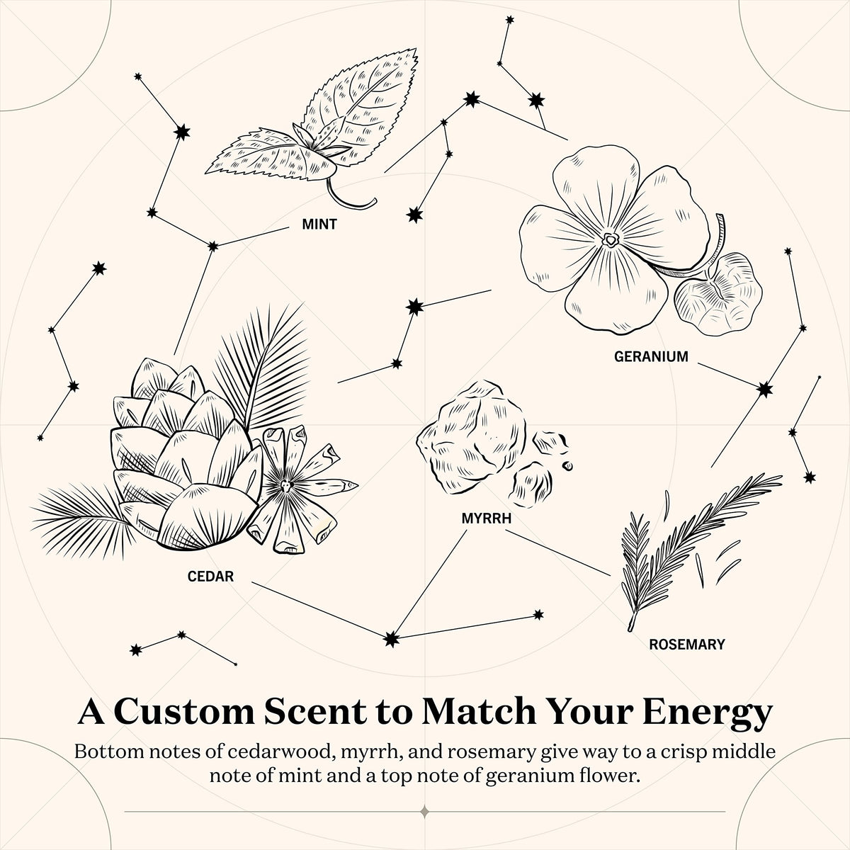 Birthdate Candles, April 10 - Aries Zodiac Scented Candles Birthday Gift - Mint, Geranium & Cedarwood Scent - All-Natural Soy & Coconut Wax, 60-80 Hour Burn Time - Made in USA
