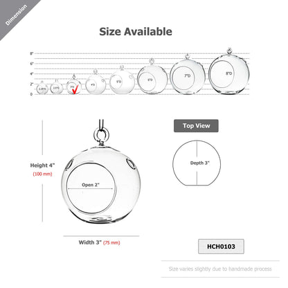 WGV Hanging Terrarium Globe, Width 3", Height 4", DIY Air Succulent Planter, Clear Glass Vase Orb with Flat Bottom, Candle Holder for Windowsill Outdoor Garden Decor, 6 Pieces Bulk