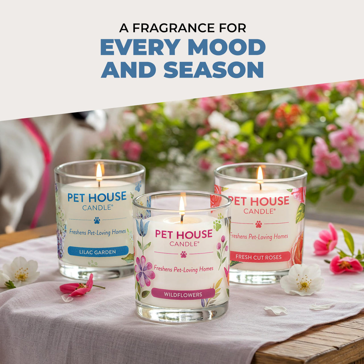 Pet House Candles, Plant-Based Pet Candle Clean Burning, 60 Hour Burn Time with a Natural Fiber Wick - Bamboo Watermint