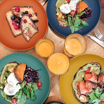 Wrova Wheat Straw Plates - 9 Inch Unbreakable Dinner Plates Set of 8 - Dishwasher & Microwave Safe Plastic Plates Reusable - Lightweight Plates for kitchen,camping (Colorful Series)
