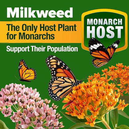 HOME GROWN Premium Monarch Butterfly Wildflower Seeds Mix - 20,000+ Non-GMO Milkweed Seeds for Pollinator Gardens | 2oz Perennial Flower Blend