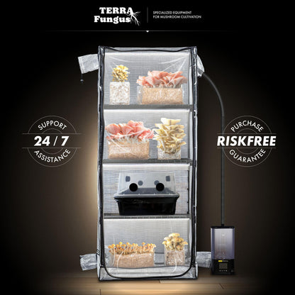 Mushroom Grow Tent with 6500K LED Light & Timer, 4-Tier Shelves Fit Up to 8 Monotubs, Mini Indoor Greenhouse with Grow Light, Waterproof Tray, 4 Vents, Martha Tent