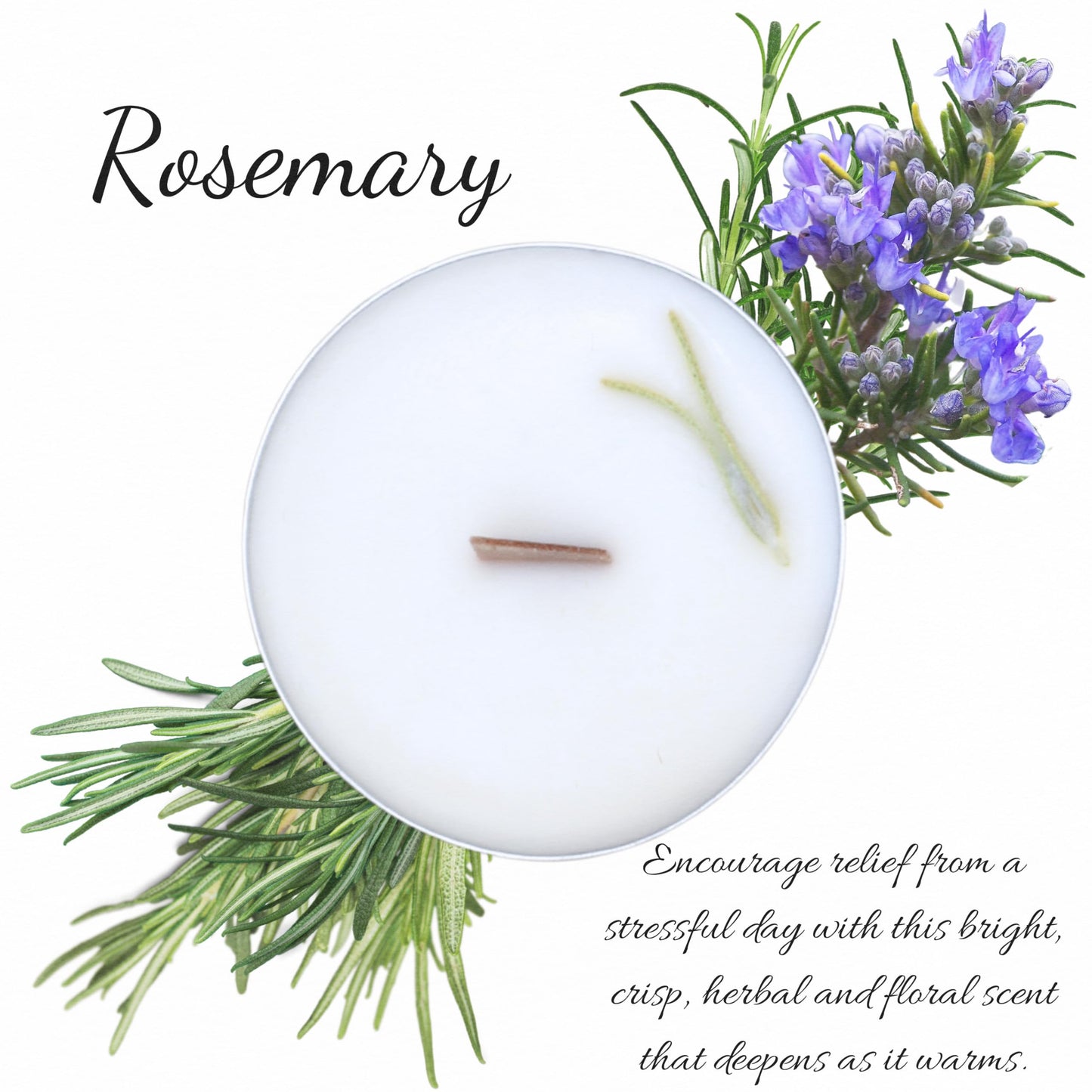 Rosemary Scented Essential Oil Tealight Candle Gift Set of 4, Hand Crafted Soy Wax Candles Wooden Wick Dried Flowers, Natural Aromatherapy Aluminum Cup Tea Lights by Lathered Artisan