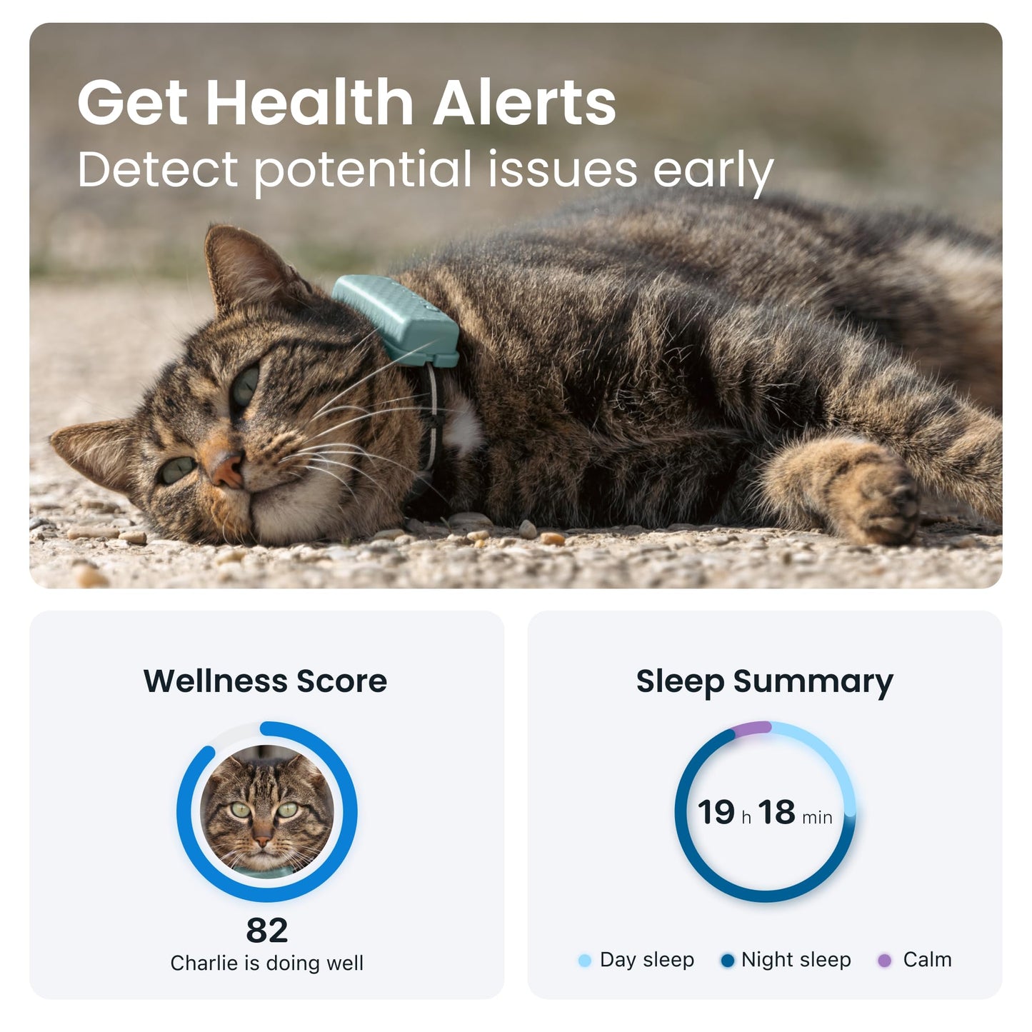 Tractive Mini GPS Cat Tracker | Market Leader | Real-Time Location Tracking | Location History | Monitor Activity | Collar Included
