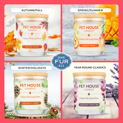 Pet House Candles, Clean Long-Burning, Scented Pet Friendly Candles, Plant-Based, 60 Hour Burn Time - Fresh Cut Roses, 9 oz