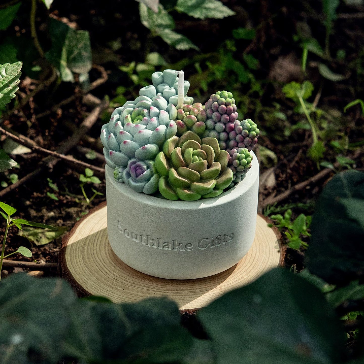 Assorted Succulent Pot Scented Vegetable Wax Candle for Spa Home Decoration Wedding Gift
