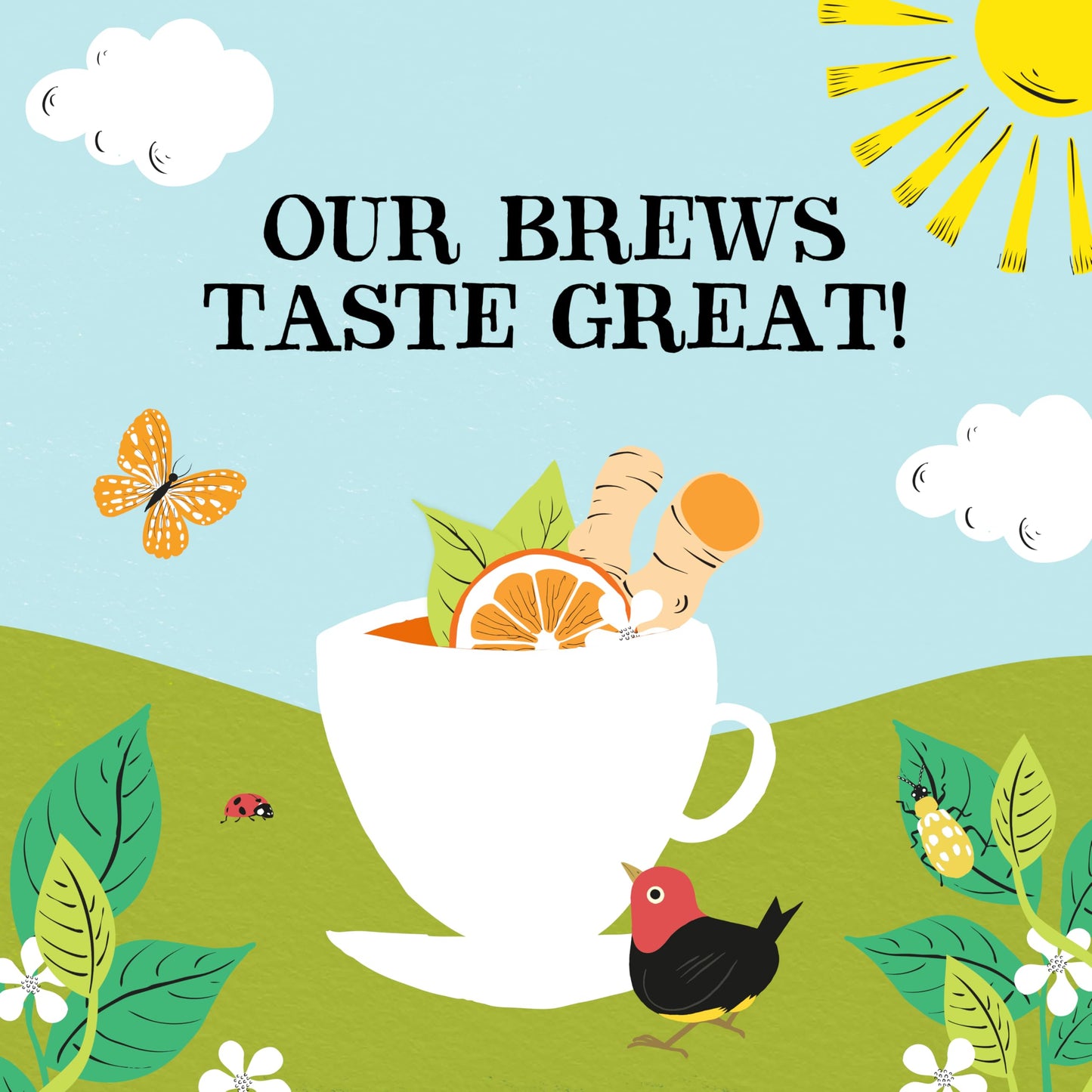 Clipper Tea, Orange & Turmeric, Organic with Licorice Root, Orange Peel and Hibiscus, Plant Based Herbal, Caffeine Free British, 6 Pack, 120 Unbleached Bags