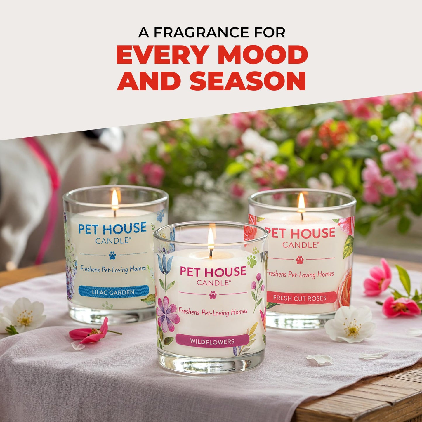 One Fur All Pet House Candle 2 Pack - Plant-Based/Soy - Clean Burning Scented, Long Lasting Pet Odor Candle for Home -Sweet Cranberries