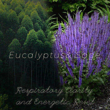 Eucalyptus & Sage Soy Scented Candles for Home- 10oz 68H Natural Soy Wax Aromatherapy Jar Candle with Strong Scent, Decorative Aesthetic Candles for Relax, Meditation, Bathroom, Luxury Gift for Women