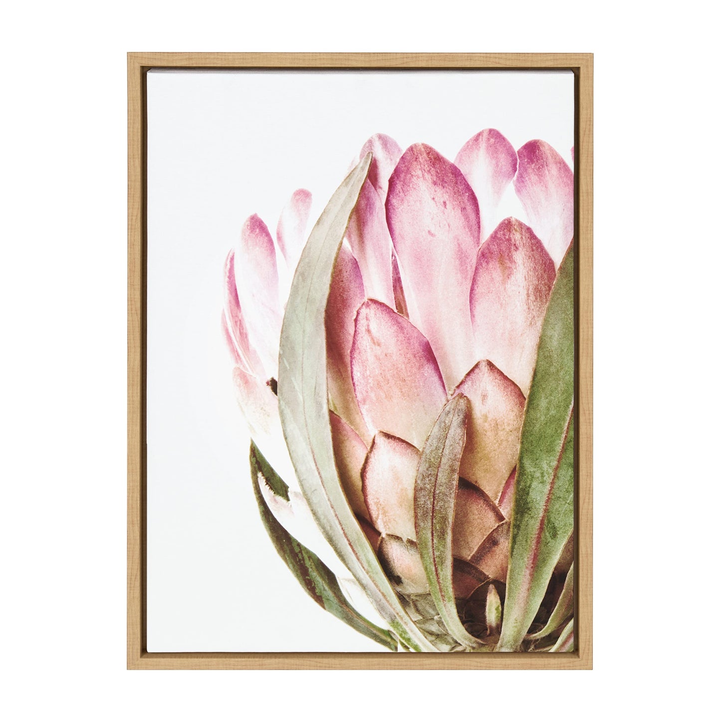 Kate and Laurel Sylvie Pink Protea Flower Framed Canvas Wall Art by Amy Peterson Art Studio; 18x24 Natural; Gorgeous Floral Accent for Wall