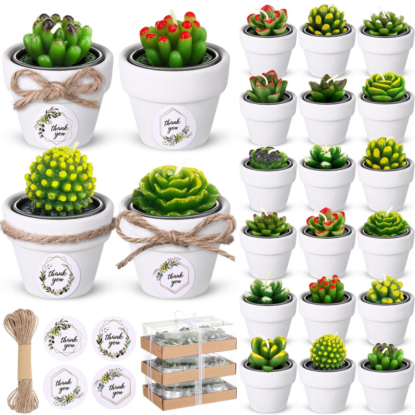 MTLEE Cactus Candle Planter, 18 Pcs Paraffin Wax Succulent Tealight Candles with Mini White Terracotta Clay Pots, for Party Favor, Fiesta, Birthday, Wedding Decor, Indoor, 1.57x1.57 inches