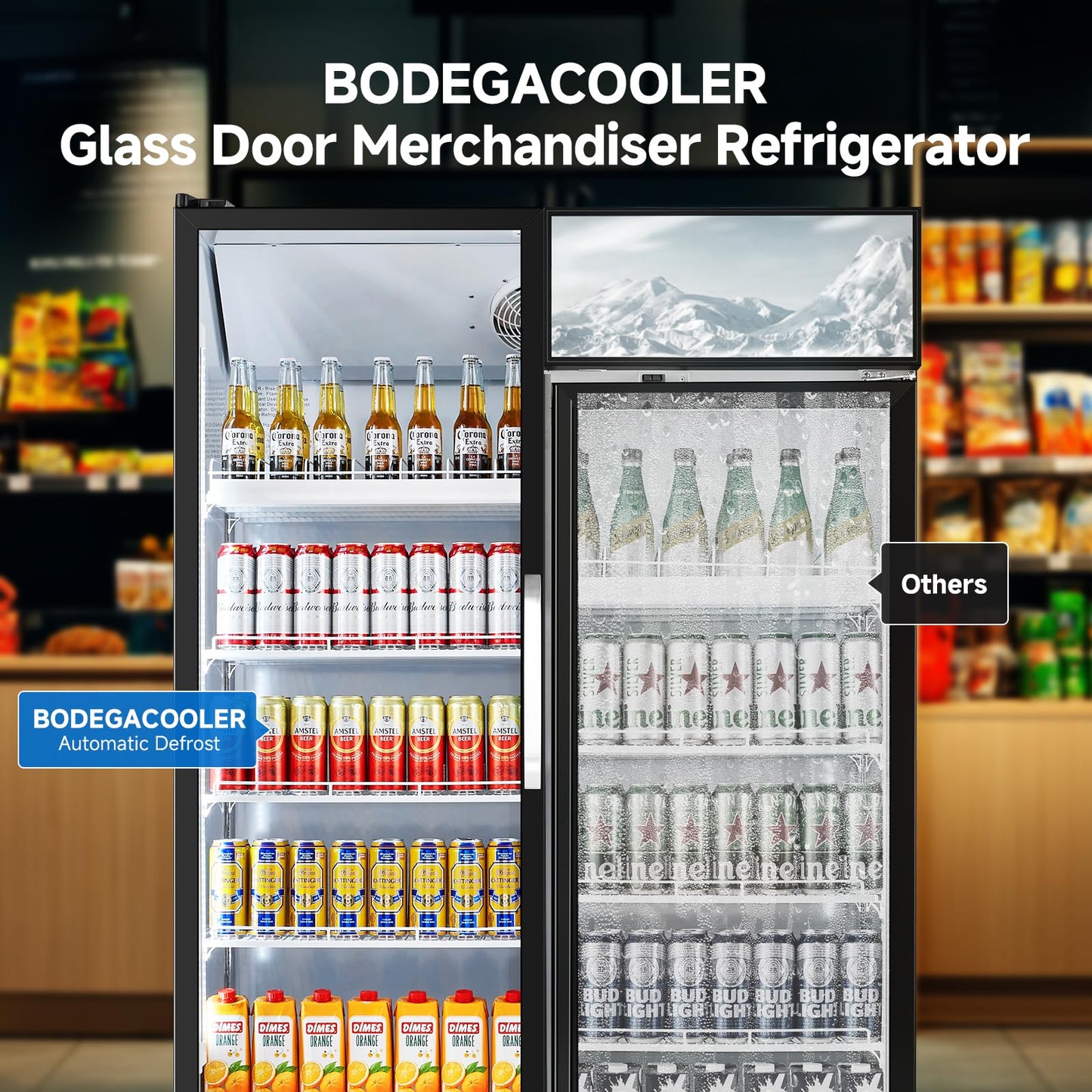BODEGACOOLER Commercial Merchandiser Refrigerator, 36.8 Cu.Ft Double Glass Door Beverage Cooler, Upright Display Refrigerator with Soft LED Light, Adjustable Shelves, 4 Heavy-Duty Casters, Black
