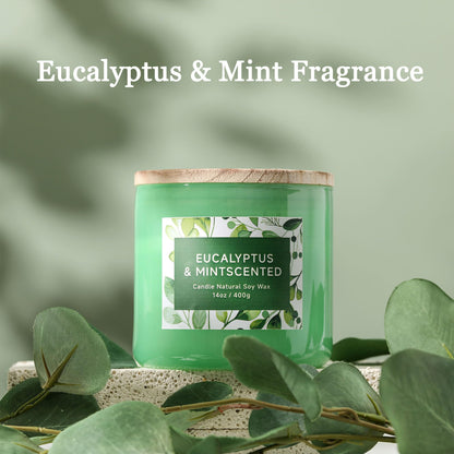 Eucalyptus & Mint Scented Candle - 3 Wicks 14 oz Soy Wax Candle, Christmas Relaxing Gift for Women and Men, Aromatherapy Candles for Stress Relief, Meditation, Yoga, SPA