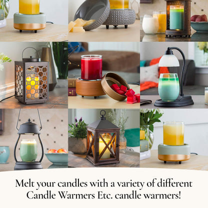 Candle Warmers ETC. Vintage Bulb Illumination Fragrance Warmer- Light-Up Warmer for Warming Scented Candle Wax Melts and Tarts to Freshen Room, Walnut & Rope