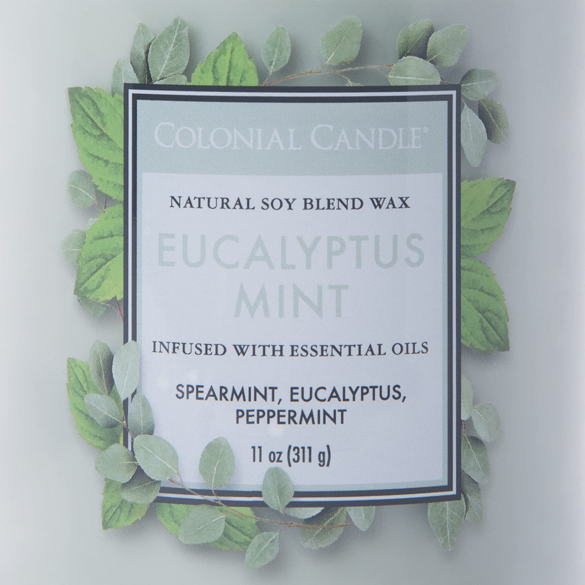 Colonial Candle Eucalyptus Mint Scented Jar Candle, Classic Cylinders Collection, 2 Wick, Green, 11 oz - Up to 80 Hours Burn