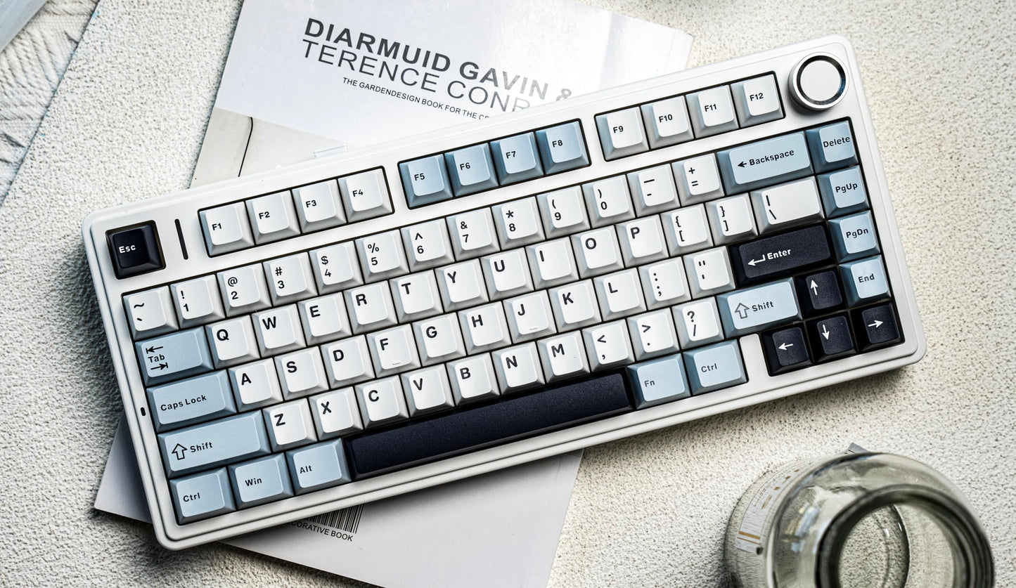 EPOMAKER x Aula F75 Gasket Mechanical Keyboard, 75% Wireless Hot Swappable Gaming Keyboard with Five-Layer Padding&Knob, Bluetooth/2.4GHz/USB-C, RGB (Light Blue, LEOBOG Reaper Switch)