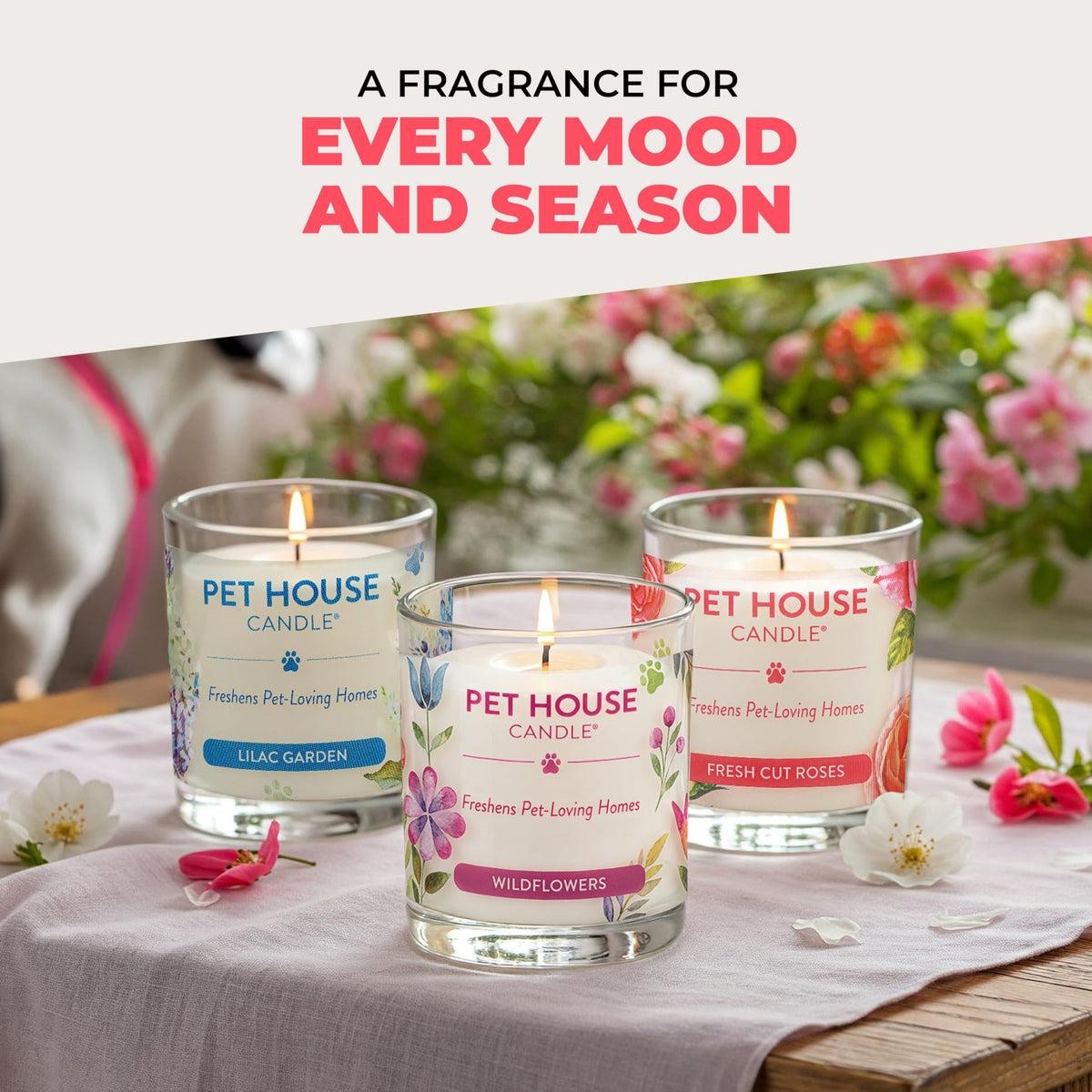 Pet House Candles, Clean Long-Burning, Scented Pet Friendly Candles, Plant-Based, 60 Hour Burn Time - Fresh Cut Roses, 9 oz