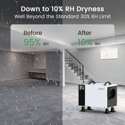 Waykar Commercial Dehumidifier with Pump and Drain Hose for crawl space, Basements, and Water Damage Unit