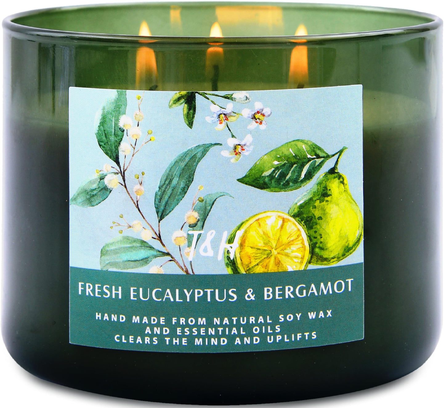 Eucalyptus Bergamot 3 Wick Candle for Home Scented | 15.8 oz Large Soy Candle | Spa Aromatherapy Candles for Home Stress Relief Relaxation | Clean Burn | Gift for Women & Men Housewarming