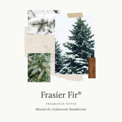 Thymes Frasier Fir Candle - Gilded Collection - Wood Grain Ceramic Design with 24-Karate Gold Rim - Mountain Fresh Fragrance - Elegant Winter Candle Scents - Gifts for Women & Men (3-Wick, 20 oz)