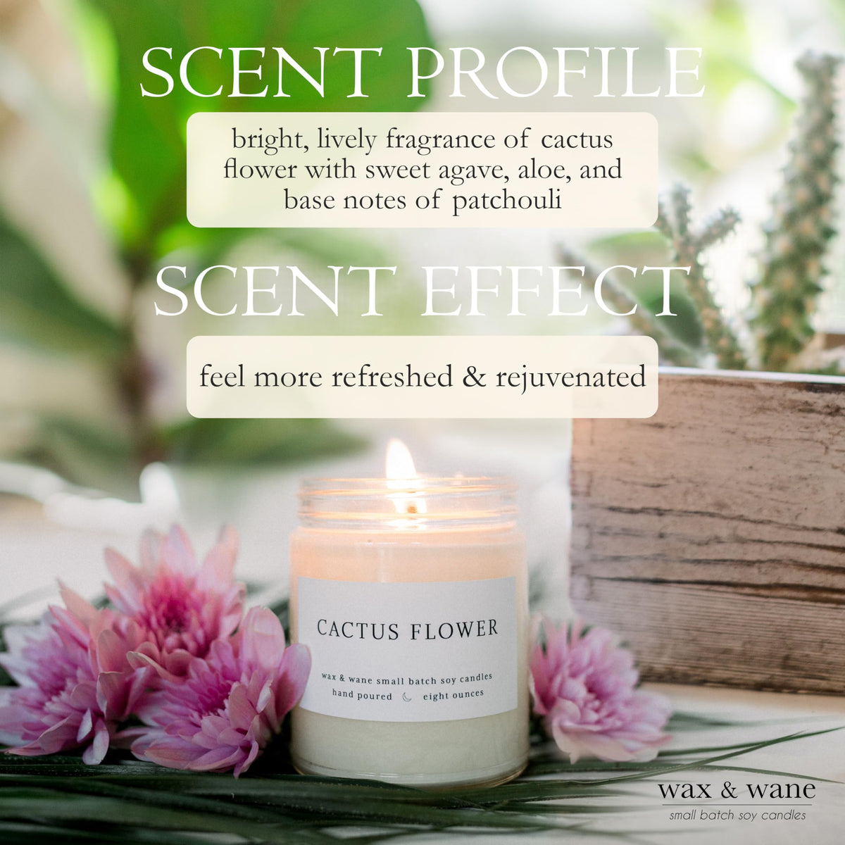 Wax & Wane Cactus Flower Modern 8oz Handmade Candle For Men and Women - Long Burning 40+ Hours Candles For Home, Bedroom, and Bathroom - 100% Natural Soy Candles Made in the USA