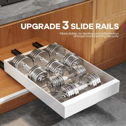 Seinloes 4 Pack Expandable (9"-14") Pull Out Cabinet Organizer 21" Deep With Raising Pad for Framed Cabinets,Upgrade 3 Slide Rails Slide Out Drawers,No Drill Roll Out Shelves Adhesive,White