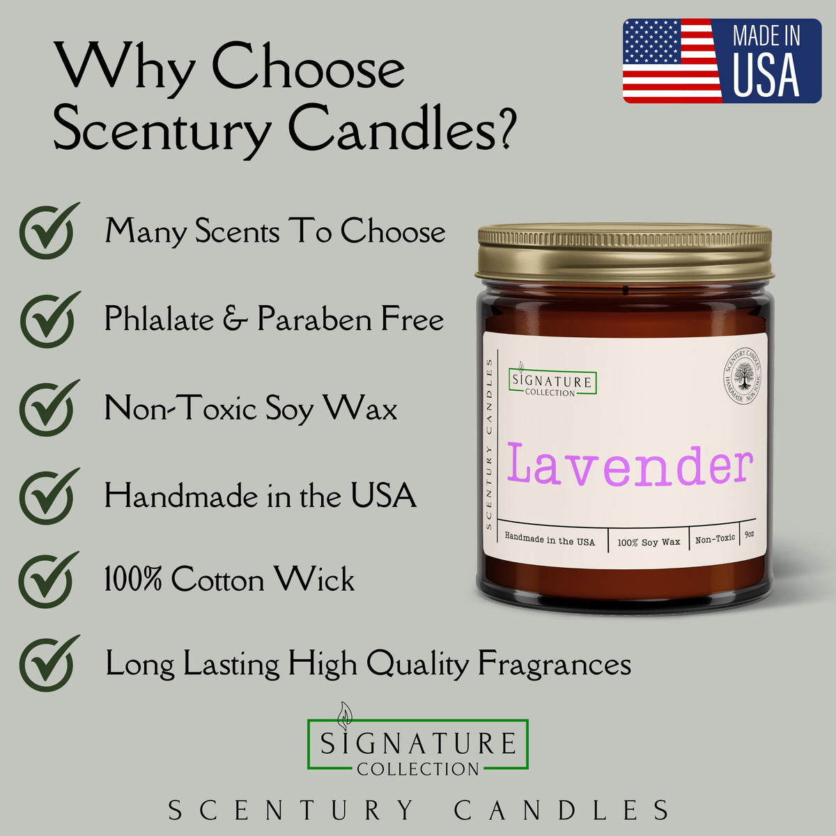 Citrus Sunshine Scented Candle, Many Scents to Choose from, All Natural Non-Toxic Soy Wax, Handmade in The USA (Citrus Sunshine)