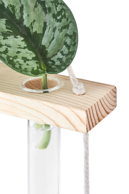 Mkono 3 Tiered Wall Hanging Plant Terrarium with Wooden Stand, Glass Planter for Hydroponic Plant Cutting, Home Garden Office Decor, Gift