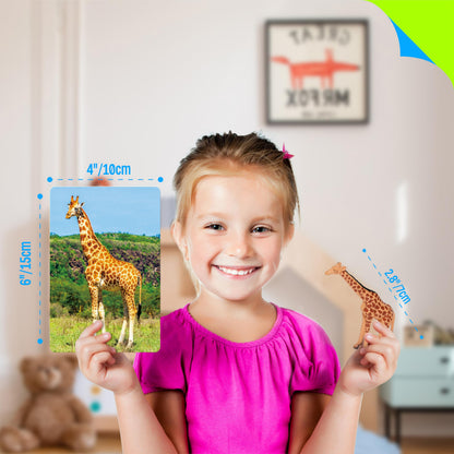 15 PCS Safari Animal Figurines with 15 Introducing Flashcards, Realistic Zoo Animal Figures Montessori Toys Science Educational Matching Game for Homeschool Preschool Toddler Kids