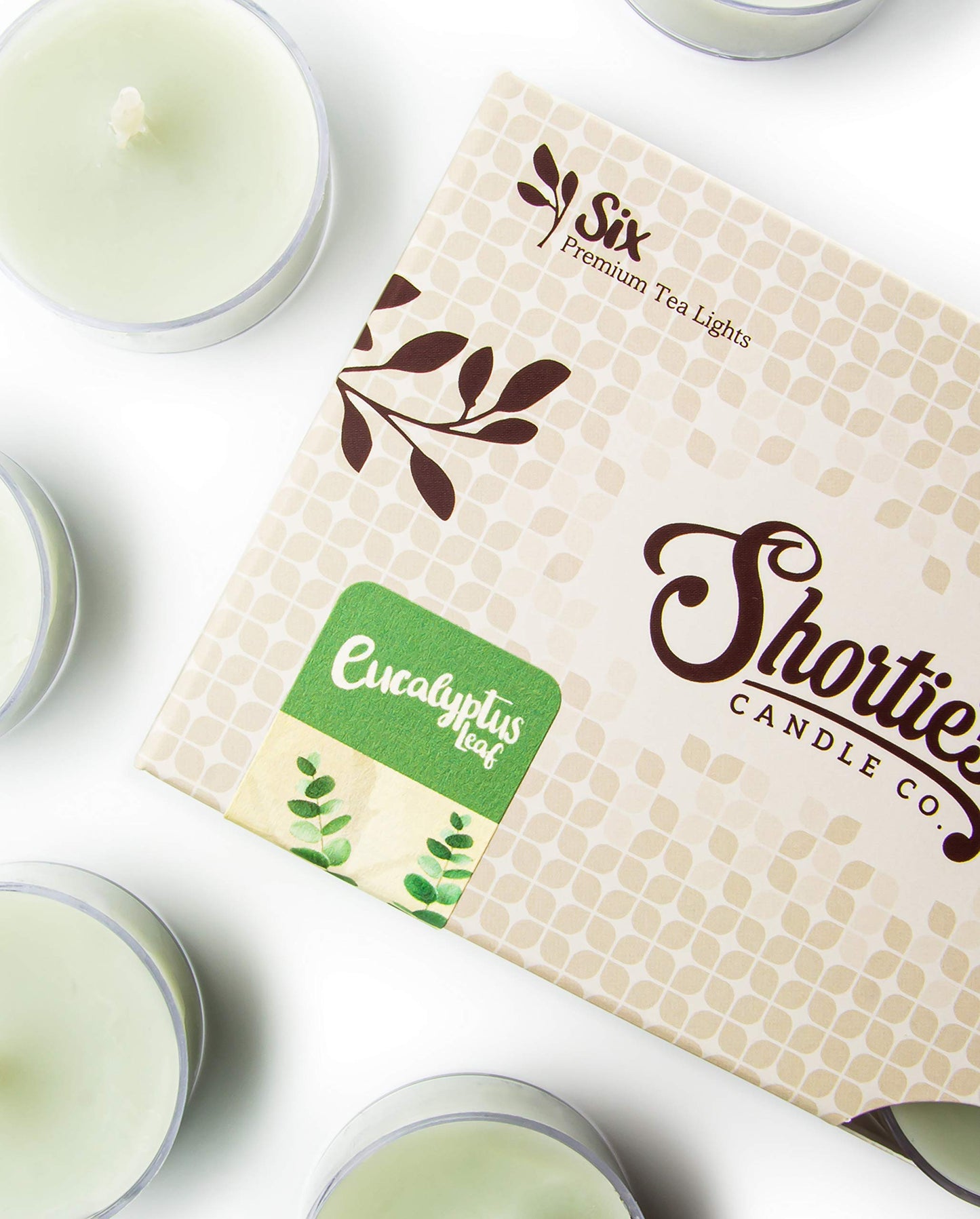 Eucalyptus Leaf Premium Tealight Candles Multi Pack - Highly Scented with Essential & Natural Oils - 12 Green Tea Lights - Beautiful Candlelight - Made in the USA - Fresh & Clean Collection