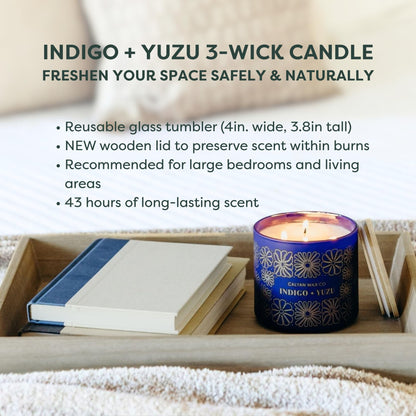 Calyan Wax Co. Indigo & Yuzu 3 Wick Scented Candle - 43 Hour Burn - Luxury 3 Wick Soy Candles - Clean Soy Wax Candles - Long Lasting Large Glass Jar Candle for Home - 14.9oz