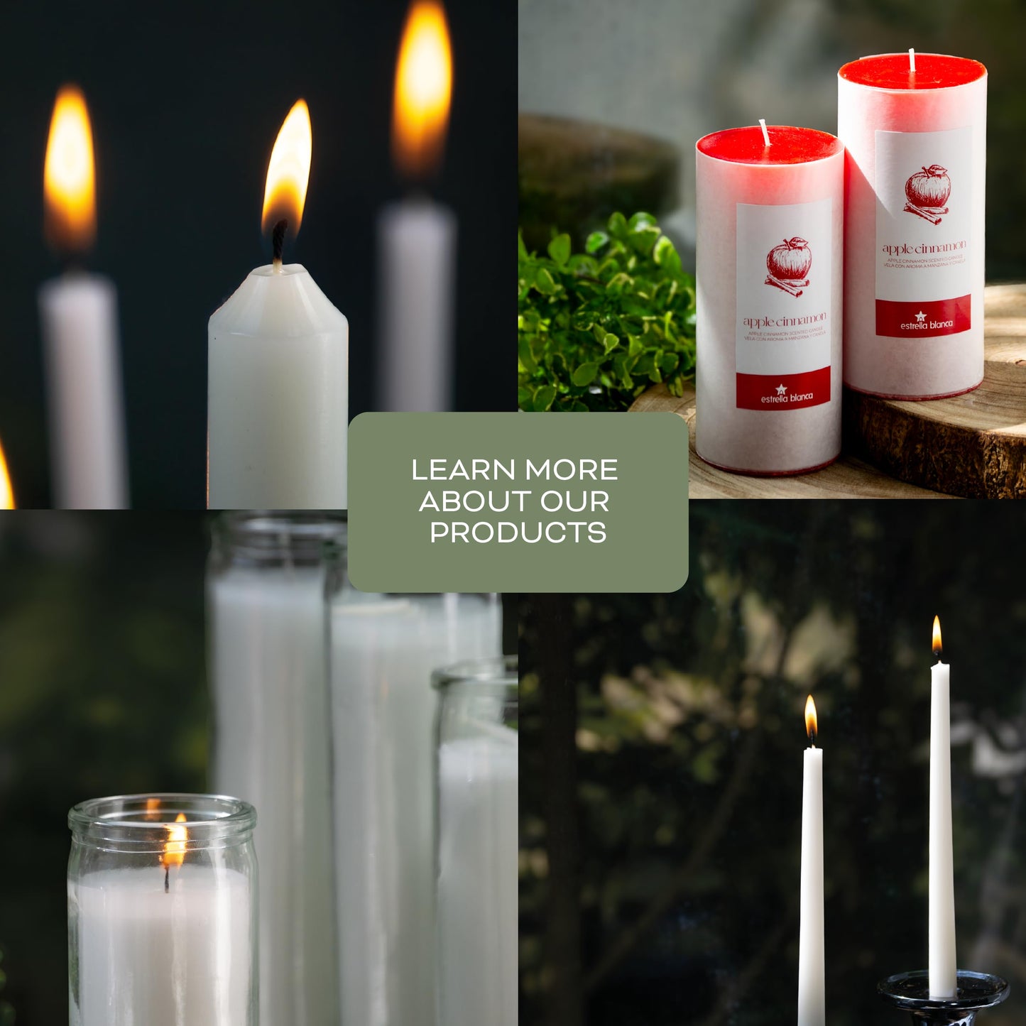 Estrella Blanca Eucalyptus Sage Scented Candles, 14.5 oz 3 Wick Candle, Large Jar, Long Lasting Burn, Fresh Herbal Aroma for Relaxation, Spa, Home Décor, Living Room, Bedroom, or Gift