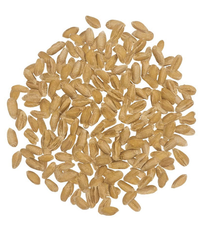 CLEAR CREEK Spelt Berries | 4 lb | Vegan | Non-GMO Project Verified | North American Grown