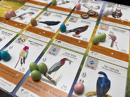 Stonemaier Games: Wingspan (Base Game) by Elizabeth Hargrave | A Relaxing Award-Winning Strategy Board Game About Collecting Birds for Adults and Family | 1-5 Players 70 Mins