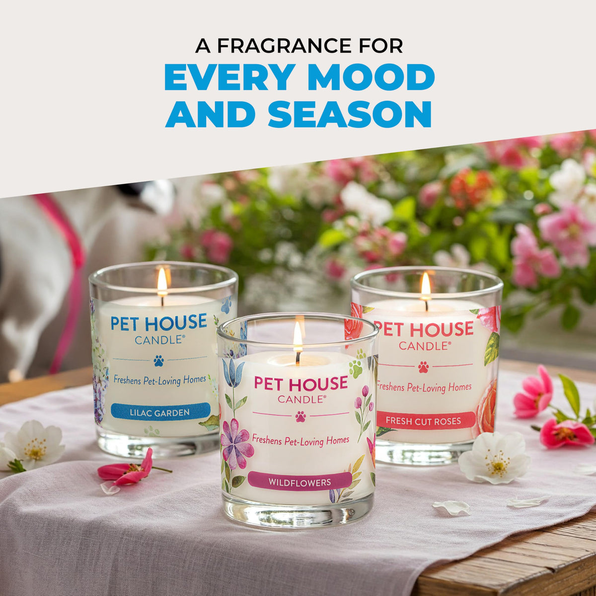 Pet House Candles, Clean Long-Lasting Pet Odor Candles for Home, Plant-Based, 60 Hour Burn Time - Lemon Cupcake, 9 oz