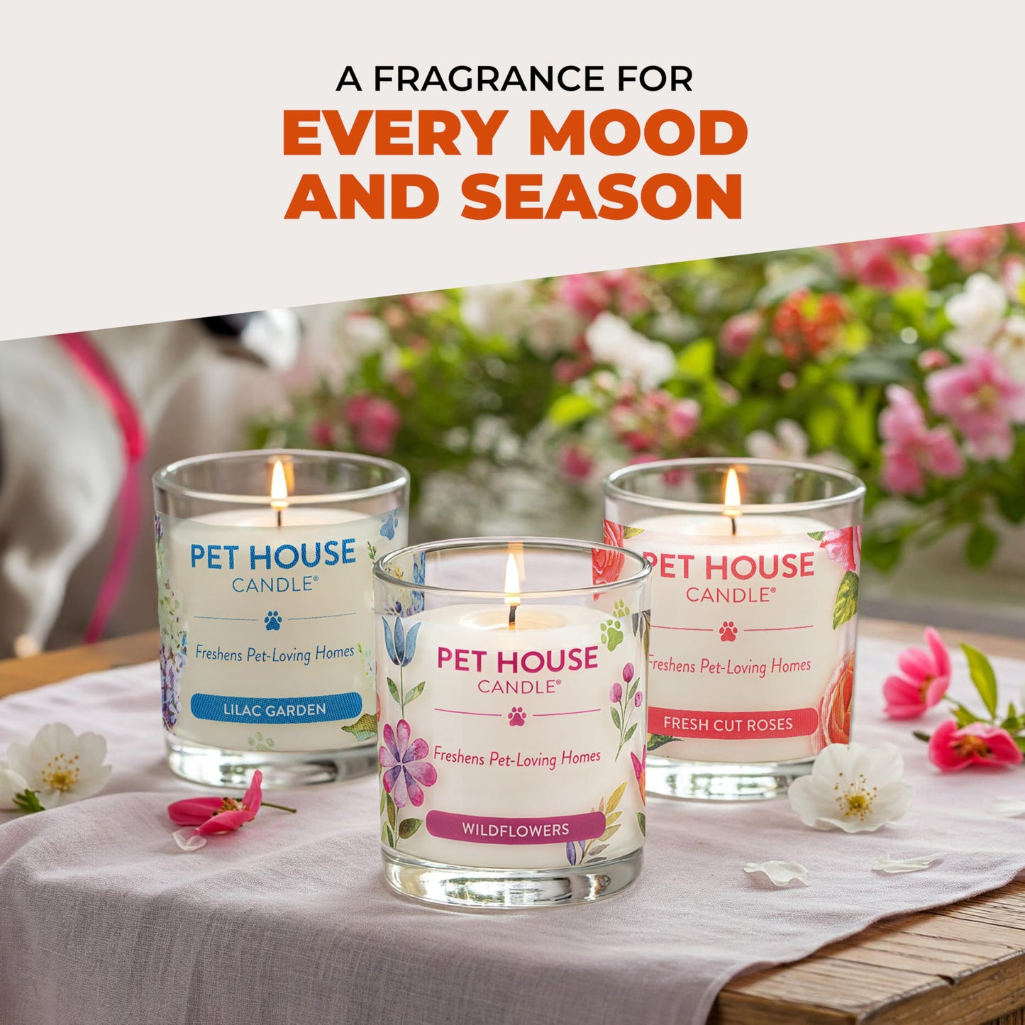 One Fur All Pet Odor Candles 2 Pack, Plant-Based Soy, Clean Burning Scented Candles for Pet Loving Homes - Pumpkin Spice, Apple Cider 2 Pack