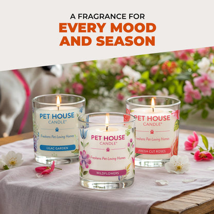 One Fur All Pet Odor Candles 2 Pack, Plant-Based Soy, Clean Burning Scented Candles for Pet Loving Homes - Pumpkin Spice, Apple Cider 2 Pack