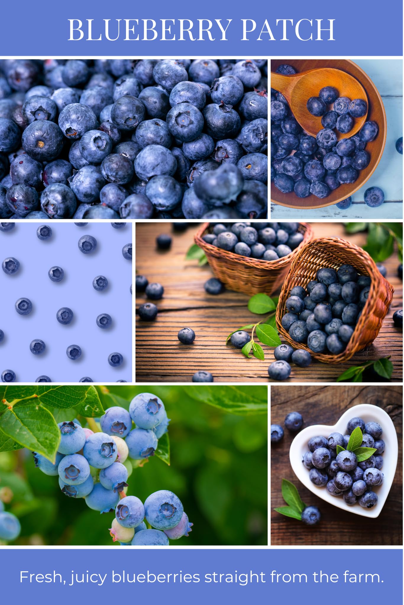 ECO CANDLE CO. Recycled Candle, Blueberry Patch, 26 oz. - Scents of Fresh Blueberries - 100% Soy Wax, No Lead, Kraft Paper Label & Lid, Hand Poured, Phthalate Free, Made from Midwest Grown Soybeans