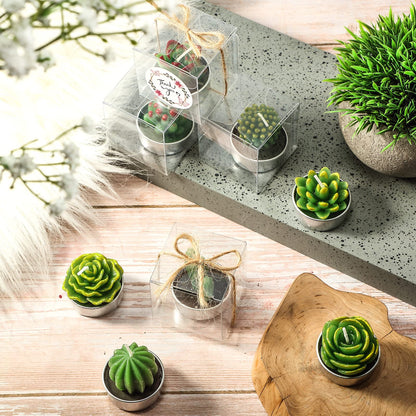 Qunclay 12 Sets Succulent Cactus Candle Party Favor Mini Succulent Tealight Candle Gift Smokeless for Wedding Graduation Birthday Party Anniversary Celebration Spa Home Decor